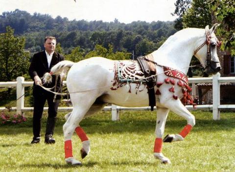 Didier Cabrol et Esquirol aux Longues Rênes