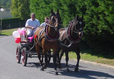 Un Jour de Fête "Aux Pins"