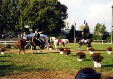 Nos Etalons au Championnat de France