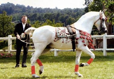 Didier Cabrol avec Esquirol aux Longues Rênes